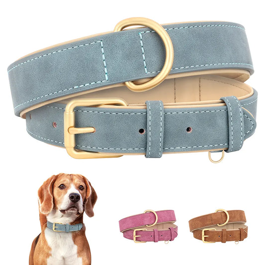 Padded leather dog collar