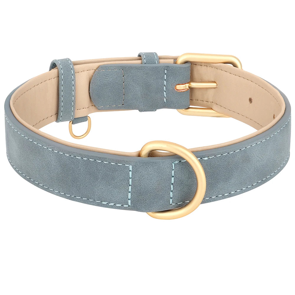 Collier en cuir rembourré pour chien