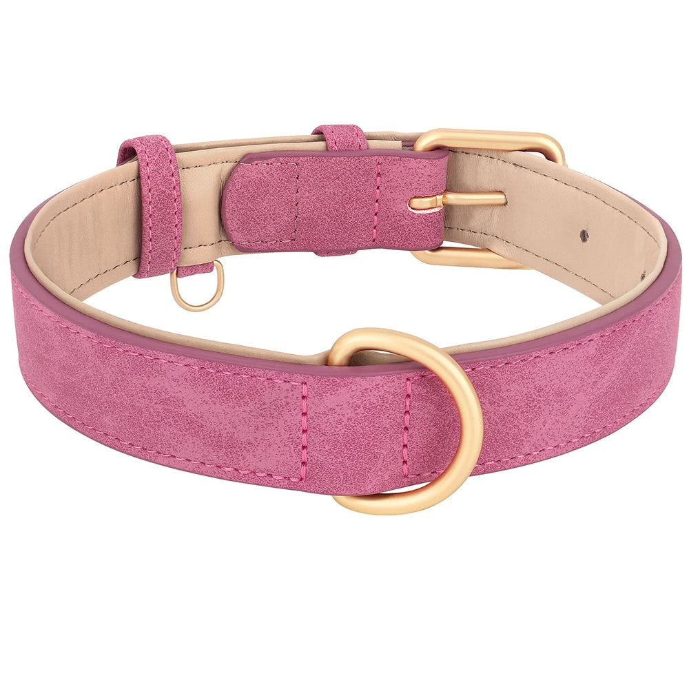 Collier en cuir rembourré pour chien