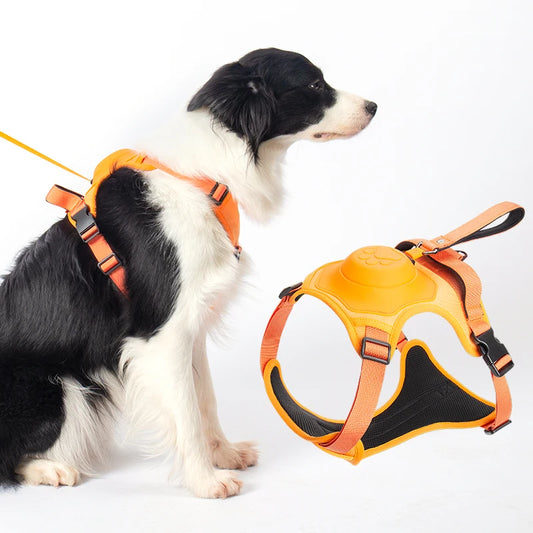 2-in-1 retractable harness and leash for large dogs 