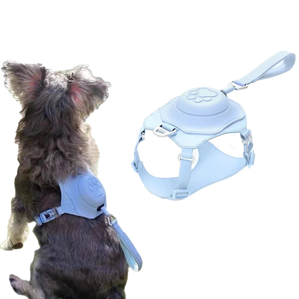 Harnais et laisse rétractable 2 en 1 pour chien de petite taille