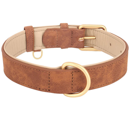 Collier en cuir rembourré pour chien